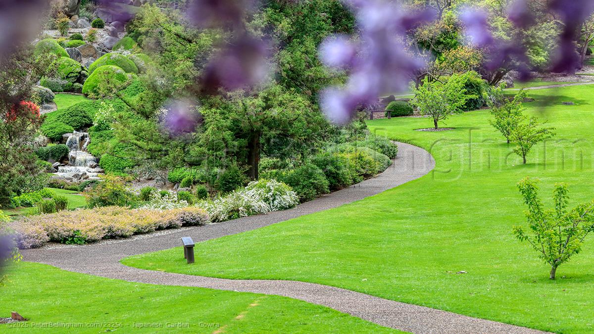 Peter Bellingham Photography Japanese Garden - Cowra